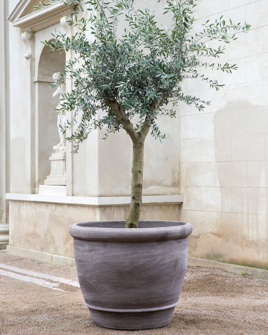 files/BERGS-POTTER_OUTDOOR_RAW_CAMPANA_NOGR_8E0A7795_Kgs-have_TBH.jpg